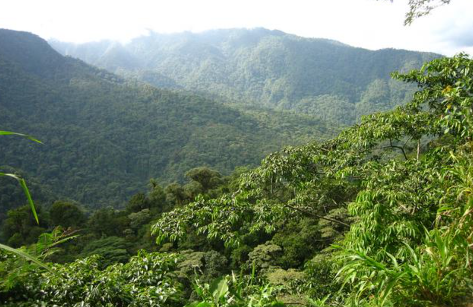 Braulio Carrillo National Park, Near San José/Heredia, Costa Rica